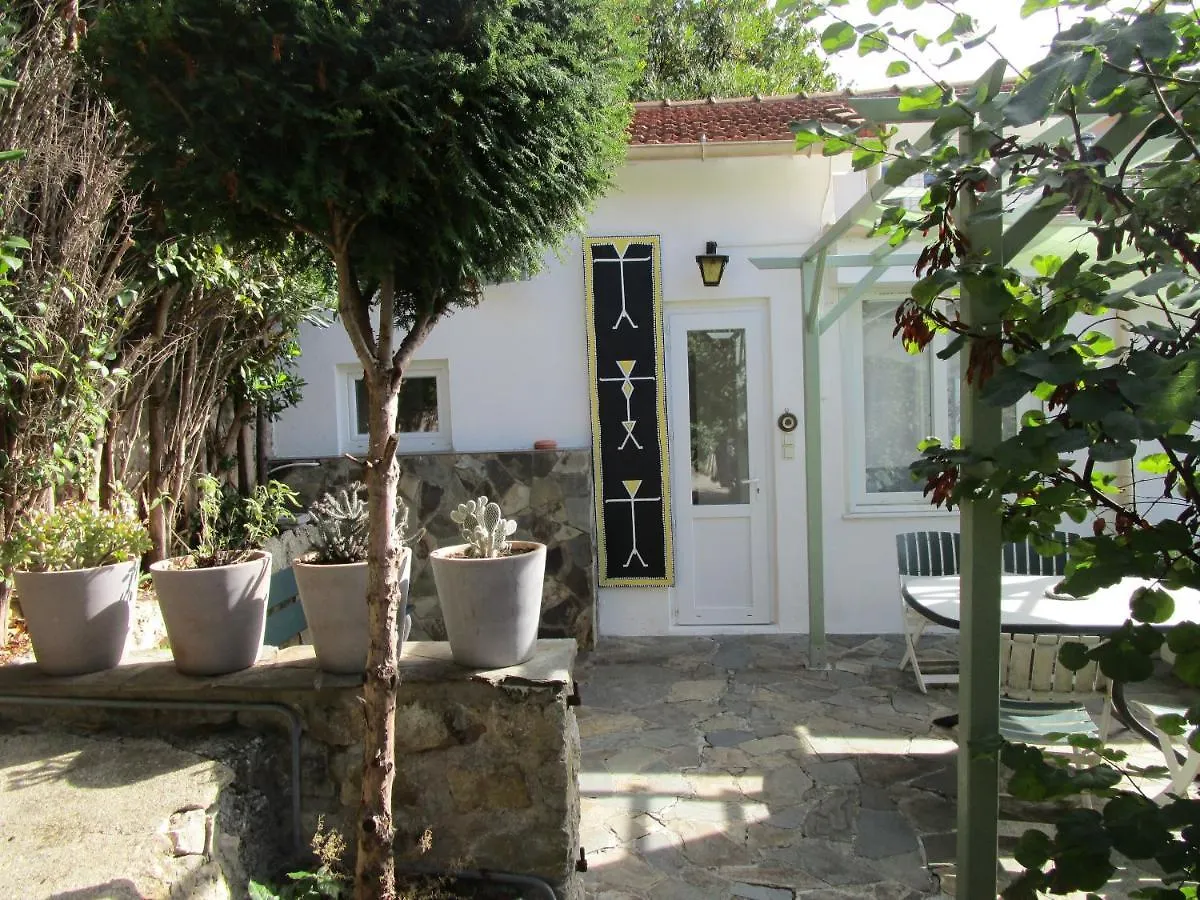 Helios Apartment Le Cannet