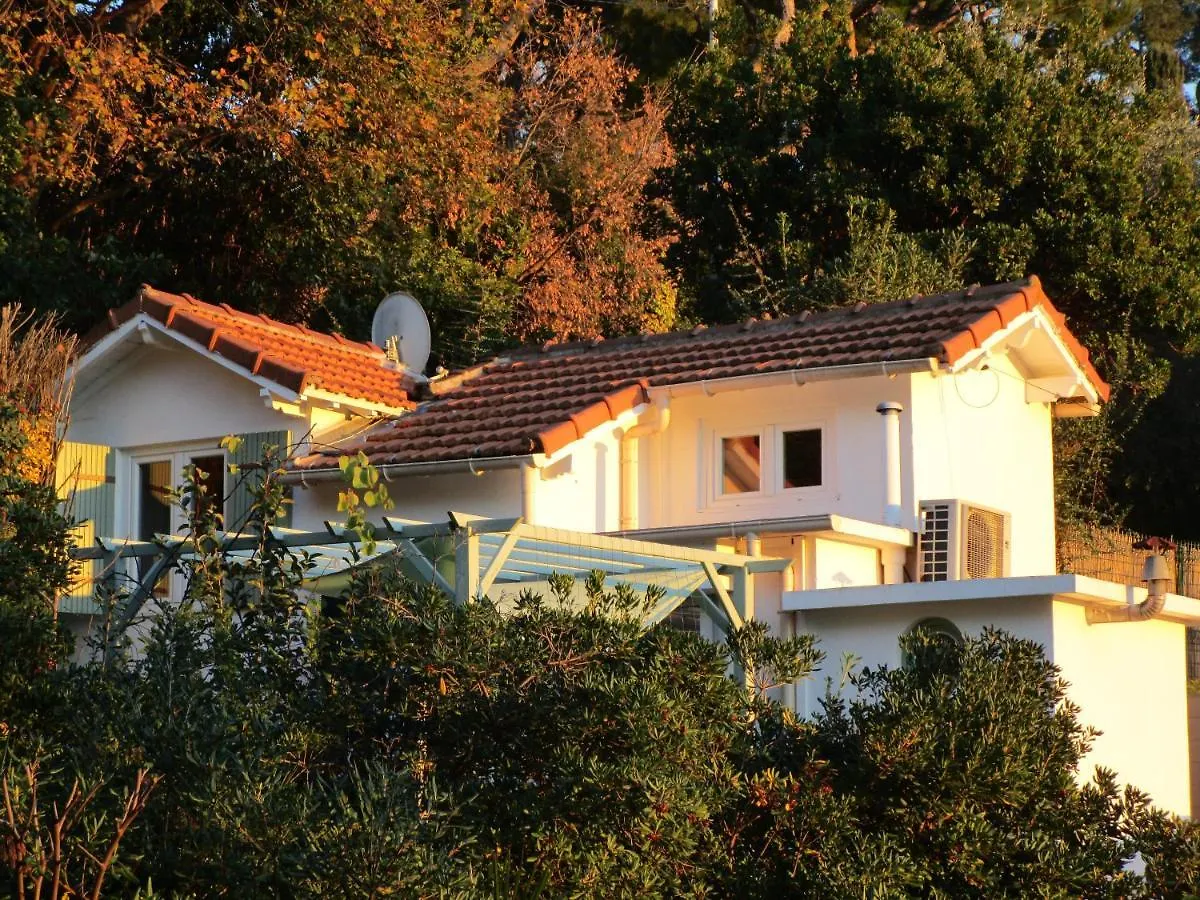 Homestay Helios Apartment Le Cannet